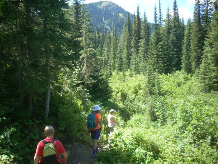 family hike