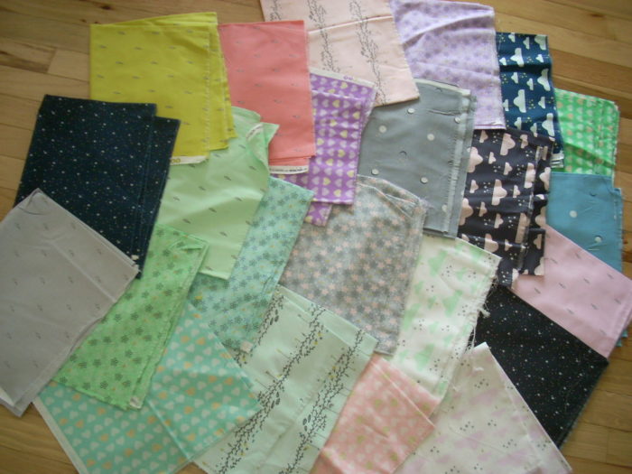 sandra clemonds believe fabric