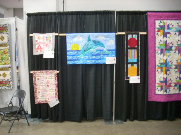 Minnesota state quilt show