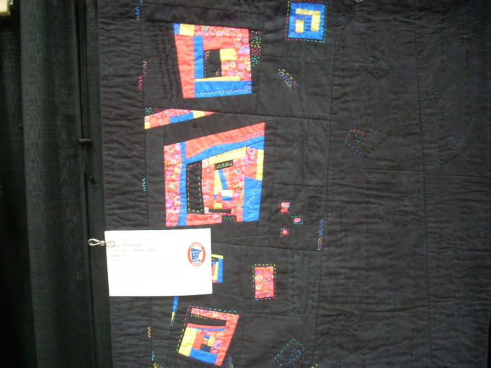 more quilts from the Minnesota state show