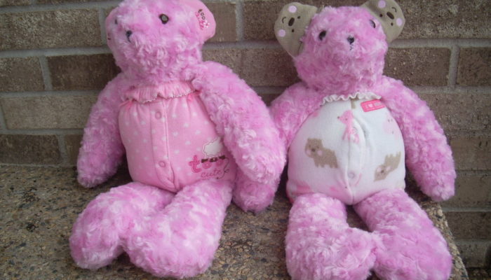 2 pink bears