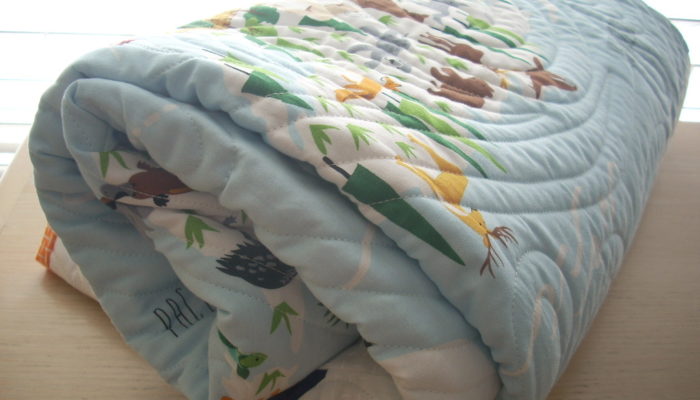 little explorer baby quilt