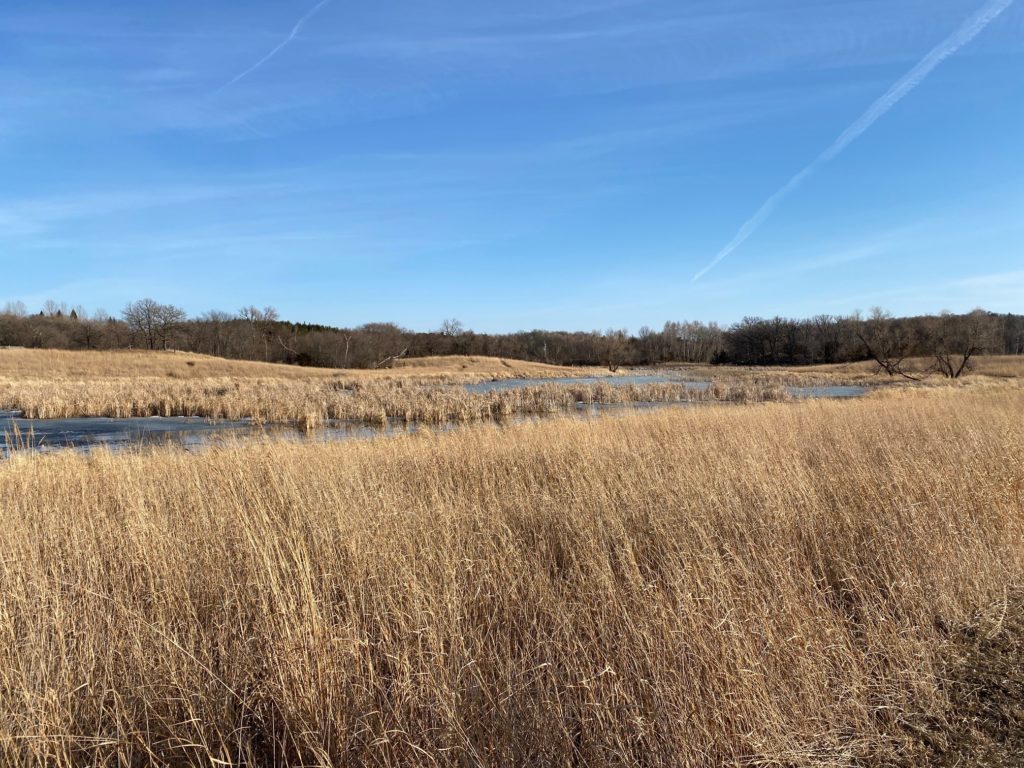 prairie woods