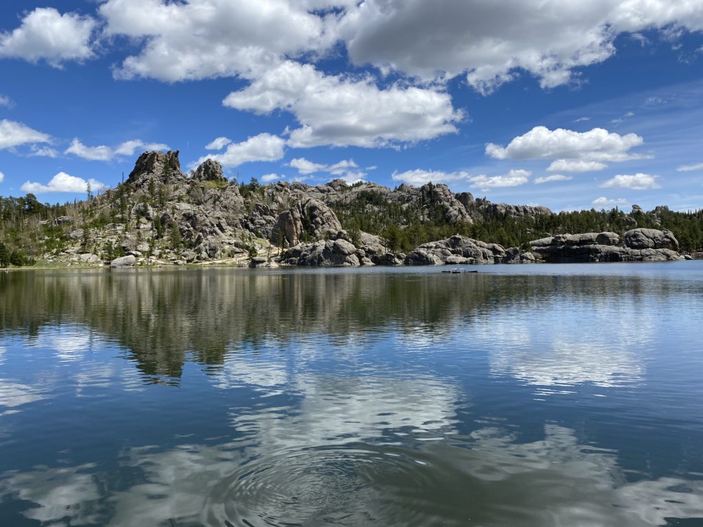 custer state park