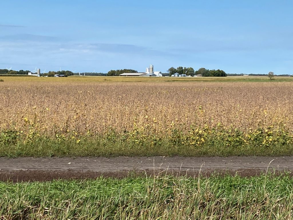 Minnesota farms